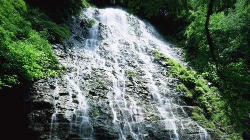 高精度全自动高端